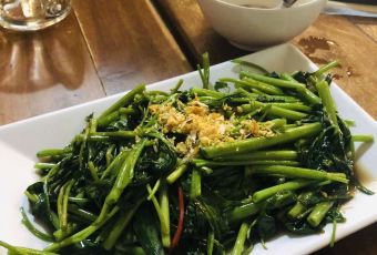 Dara Serene User Photo