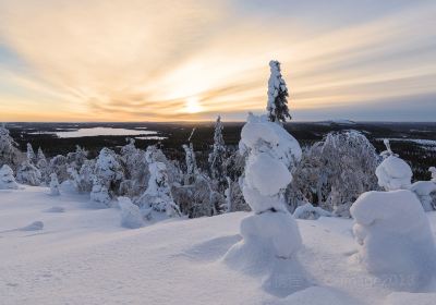Ruka