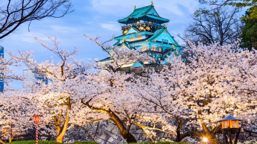 Osaka Castle Main Tower (Osaka Castle Museum)