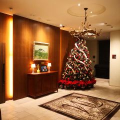 Hibiya Matsumotoro User Photo