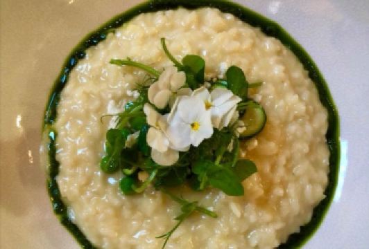 Galvin La Chapelle User Photo