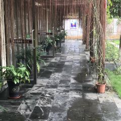 和顺庭院咖啡 User Photo