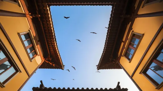 溫州市景山森林公園-護國寺