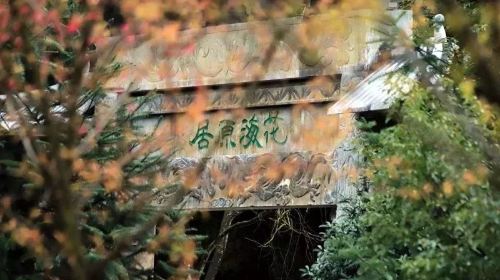 明月山花海原居櫻花山谷