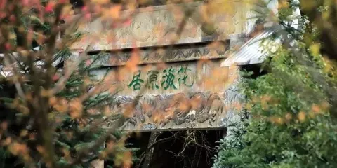 明月山花海原居