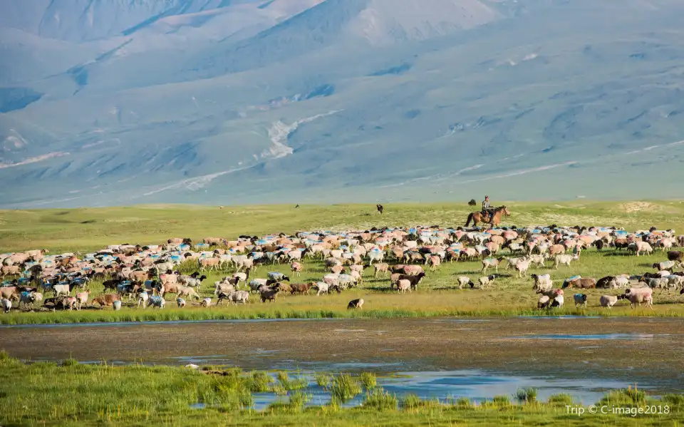 5_Bayanbulak