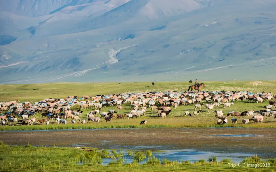5_Bayanbulak