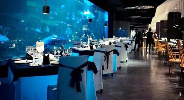 SHARK RESTAURANT