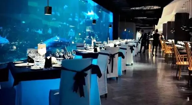 THE SHARK RESTAURANT