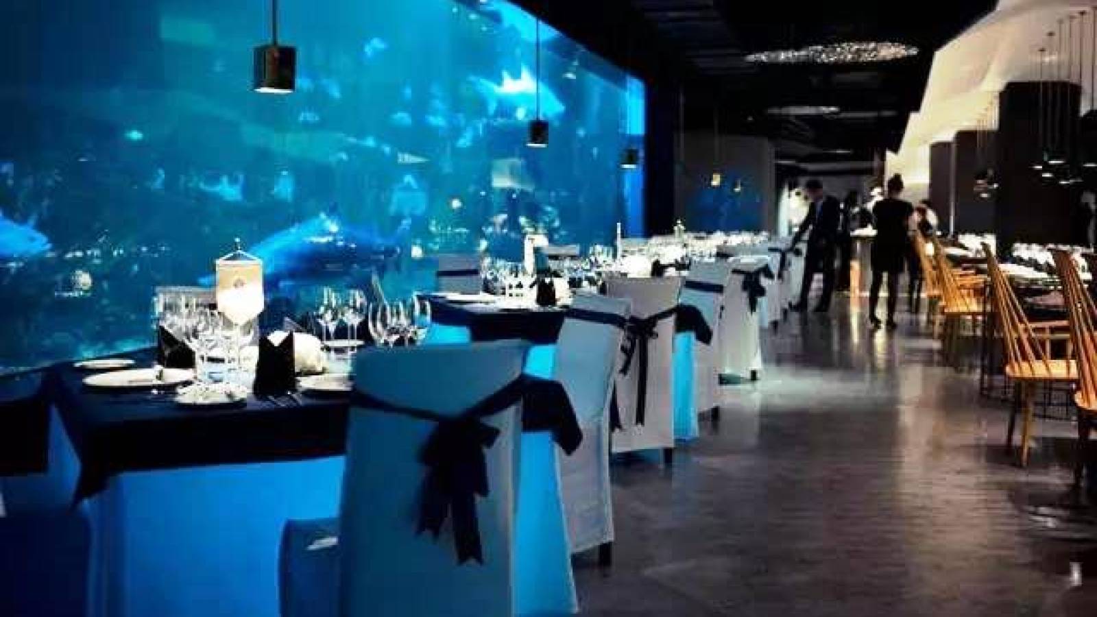 鯊魚餐廳.海景川粵餐廳（重慶天地店）