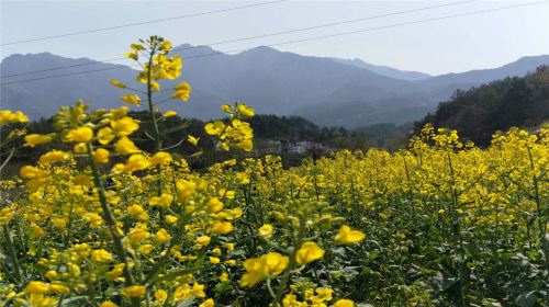 Liluo City Scenic Area