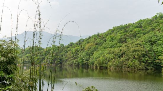 莲花湖风景区就是原来的莲花湖水库。其实它是由彭州市和都江堰市