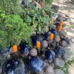 沃尓沃群渡假民宿餐廳 User Photo