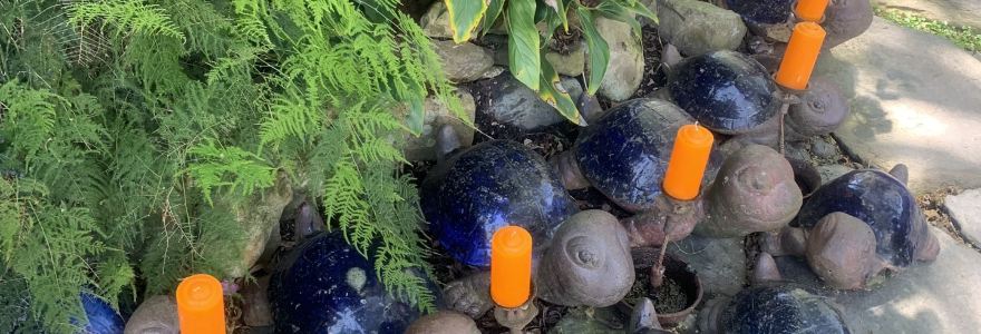 沃尓沃群渡假民宿餐廳