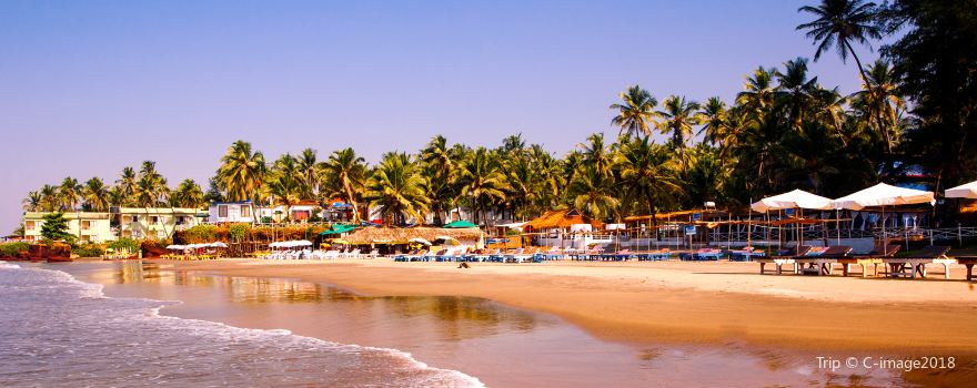 Ashvem Beach