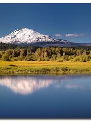 Trout Lake