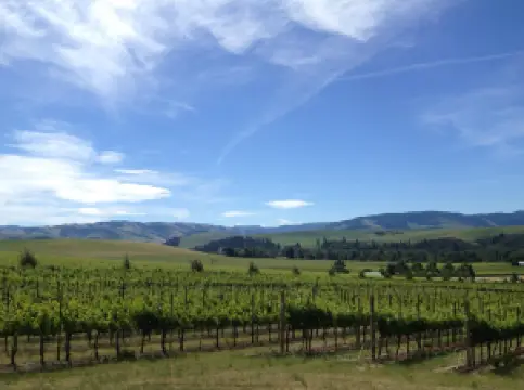 Walla Walla Vintners