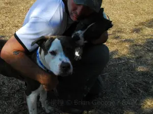 Baltimore Humane Society