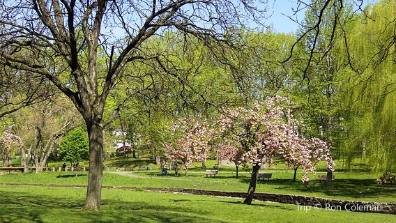 Parsippany