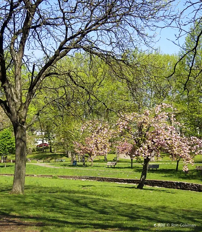 Parsippany
