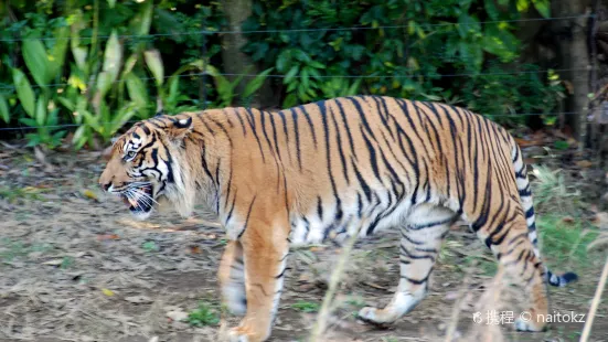 よこはま動物園ズーラシア