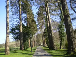 Bowland