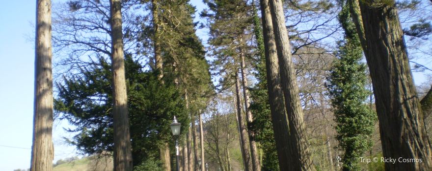 Bowland