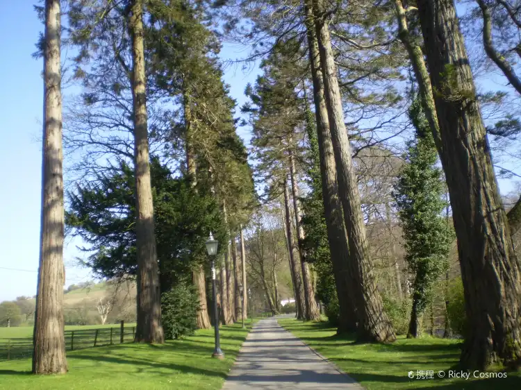 Hotels near Bowland
