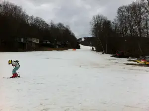 Cataloochee Ski Area