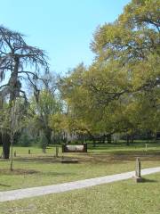 Colonial Park Cemetery