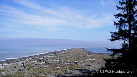 Dungeness National Wildlife Refuge