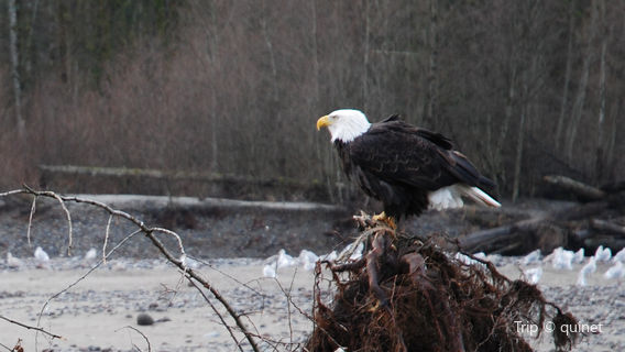 Squamish