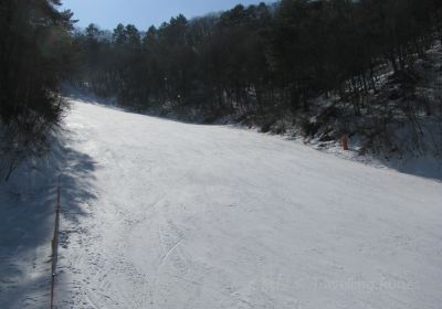 Bears Town Ski Resort