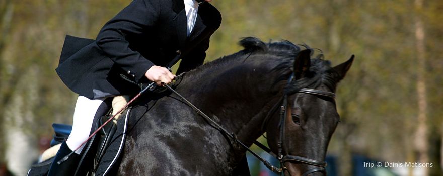 Whitewater Equestrian Center