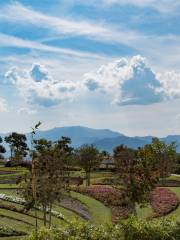 Jardines de Mexico