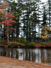 Pawtuckaway State Park