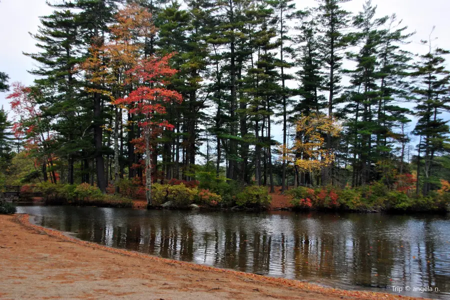 Pawtuckaway State Park