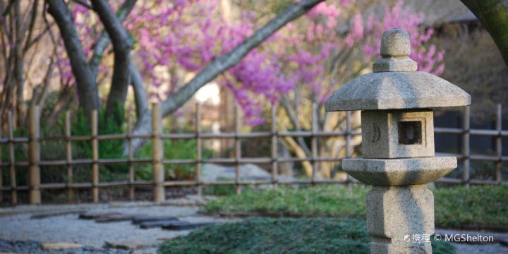 Birmingham Botanical Gardens