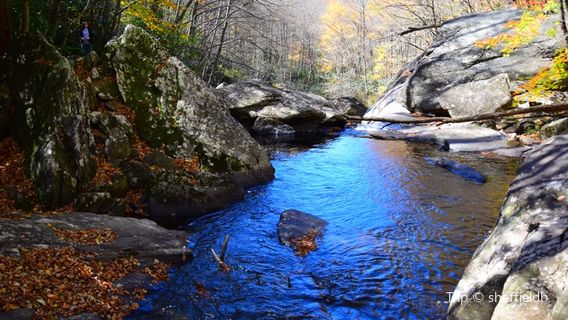 Julian Price Memorial Park