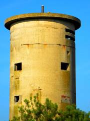 Cape Henlopen State Park