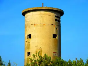 Cape Henlopen State Park