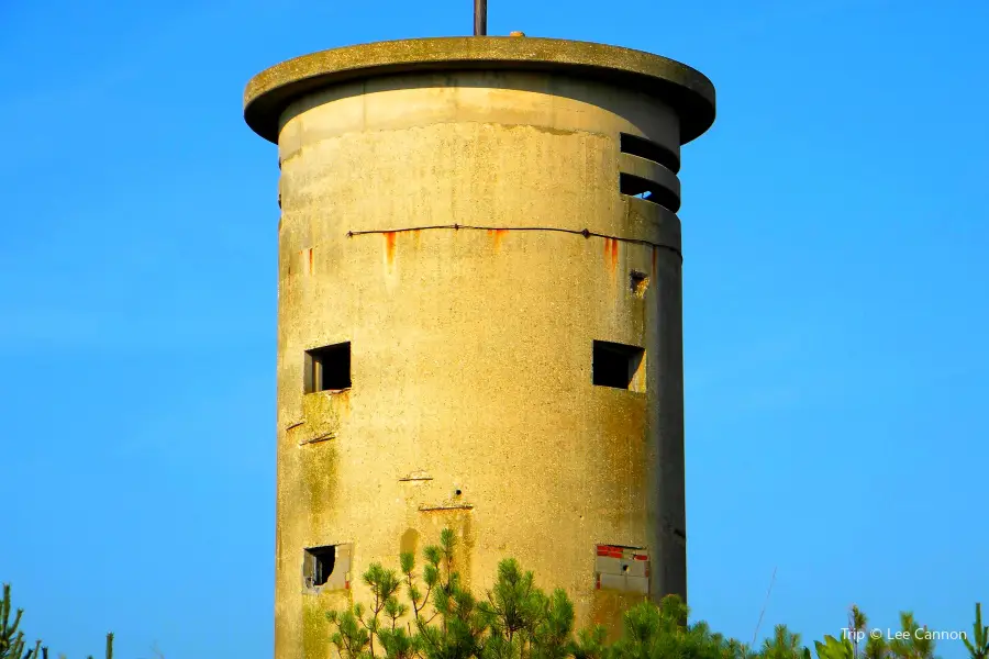 Cape Henlopen State Park