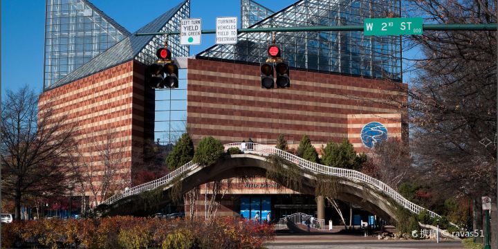 Tennessee Aquarium