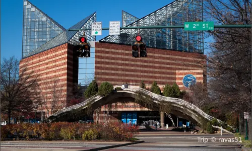 Tennessee Aquarium