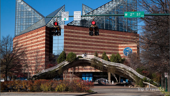 Tennessee Aquarium