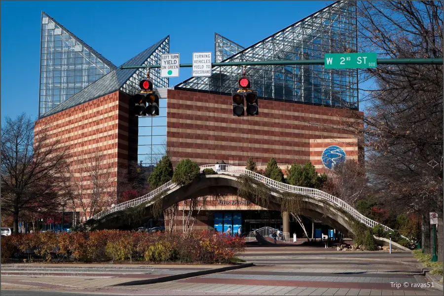 Tennessee Aquarium