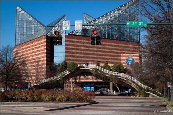 1_Tennessee Aquarium