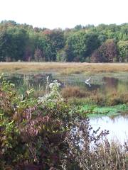 Huntley Meadows Park