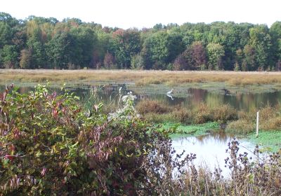 Huntley Meadows Park