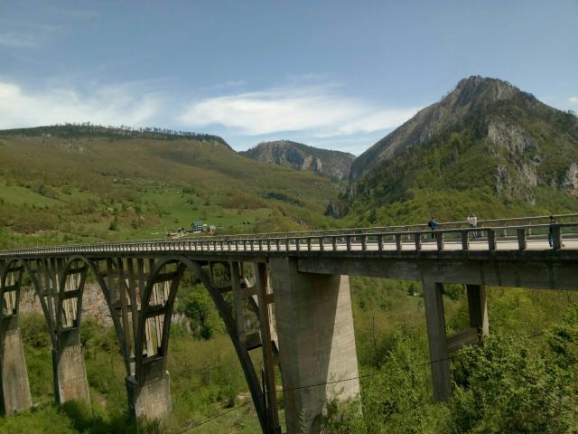 塔拉河大橋